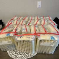 Young Healthy Mom with over 2000 oz in Freezer Stash