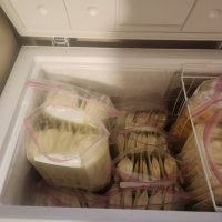 Frozen Breastmilk, over collected and don't want it to go to waste