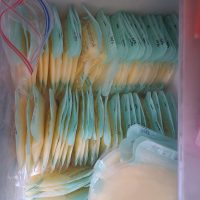 Vegan diet breast milk - Norfolk Norwich 7000ml+