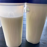 Healthy female selling extra milk
