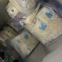 Breast milk for sale in bulk
