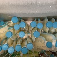 Frozen Breast milk