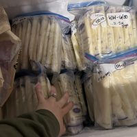 Frozen Breastmilk - Healthy lifestyle, No alcohol, non-smoker, no drugs!