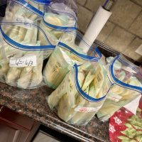Fresh Breast Milk 0-2 Months Postpartum