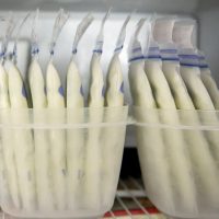 Selling excess breast milk in Dallas area, no smoking or drinking, too much in freezer and need for cash!