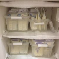 Surrogate with Abundance of Nutritious Frozen Breastmilk Available for Shipping