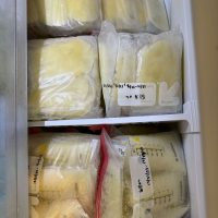 Frozen Breastmilk- Present day to December 2023 (bodybuilders accepted) Pick up in North San Diego