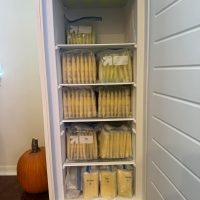 Over 1,500 oz 6 Weeks PP Frozen Milk Fort Lauderdale FL