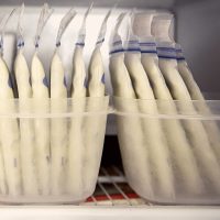 Breast milk from active and healthy oversupplying mom