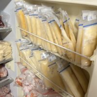 Frozen Breast Milk – Michigan – Large Stash Available