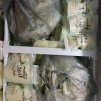 Frozen breast milk