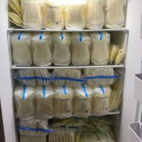 Lot of breastmilk stash