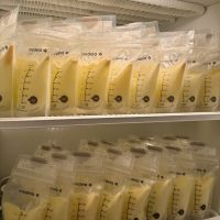 1000 oz+ Frozen, No Drugs, No Alcohol, Ventura County California, Willing to Ship Too