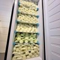 2,000+ OUNCES OF BREAST MILK FOR SALE