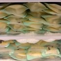 Safe Screened Breast Milk Available in NYC – Reliable Ongoing Supply