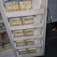 Frozen Breast Milk
