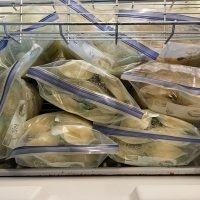 Healthy 31 year old with oversupply of 900 ounces of frozen breastmilk for premie baby