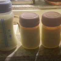 Fresh or frozen milk