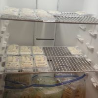 selling breastmilk