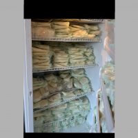 Freezer full of breast milk looking to sell