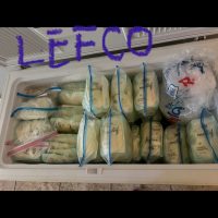 Fresh or frozen breastmilk from healthy mom