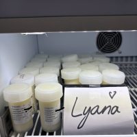 New born milk in Belgium for sale