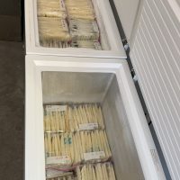 Breast Milk in Bulk