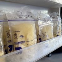 Frozen Breast Milk – Healthy & Highly Educated Mom – 100oz Available – Brentwood CA