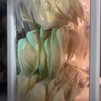 Large amounts of fresh/frozen daily for sale