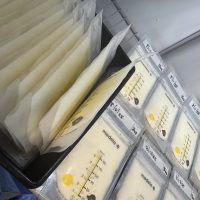 Fresh rich fatty breastmilk - Central Florida