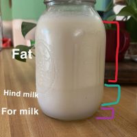 Breast Milk Indiana
