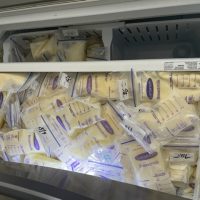 Over 1,000 oz of frozen milk – MUST GO! Oversupply and still pumping and freezing.