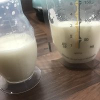 Premium Gold Milk - 6mo 12kg