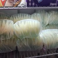 Breastmilk