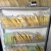 Selling Breast Milk San Diego CA