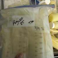 Oversupply of Breastmilk – Delray Beach, FL. Healthy Mom of 2, Clean Lifestyle, No Smoking or Drugs. Nutrient Dense, Non-Lipase.