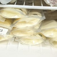 Dairy free/Soy free including hidden soy 400oz