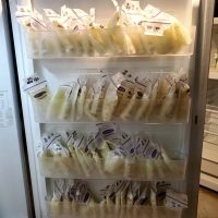 500+ oz of breastmilk & counting! Oakland NJ, selling locally. Healthy mother of 2, work with a nutritionist, oversupply making more than my baby needs