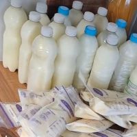 Milk for anyone