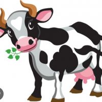 Healthy milk for sale