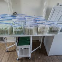 Ventura County Surrogate 1400+ oz brestmilk for sale