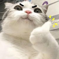 Selling oversupply for $2/oz